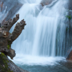 Notícias sobre nuestros proveedores de calzado 