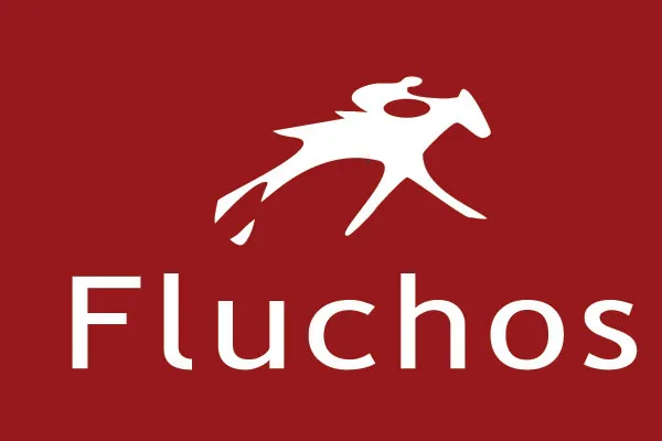 FLUCHOS S.L